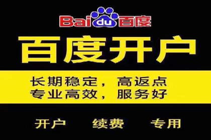 竞价排名案例：行业领先企业经验